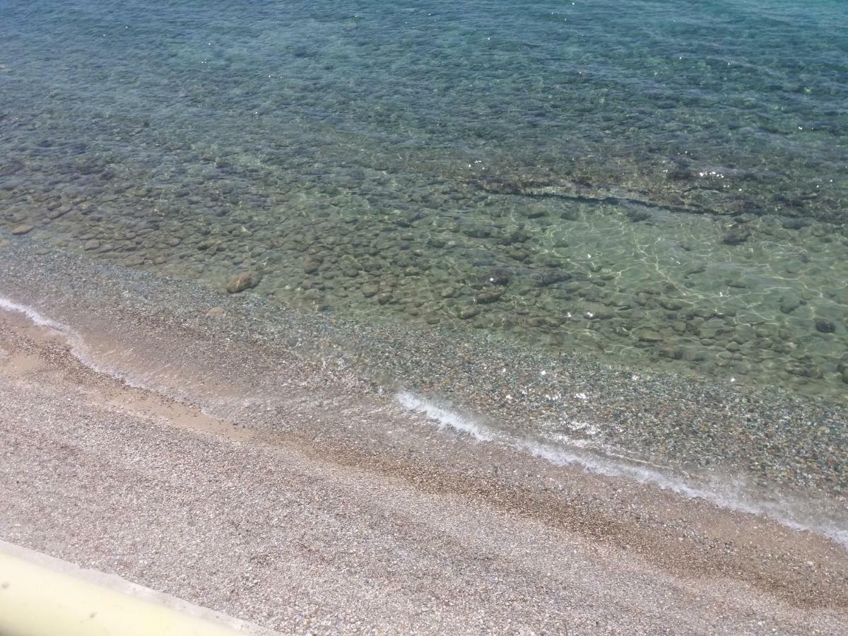 فيلا Seaside 2 أغيا باراسكيفي المظهر الخارجي الصورة